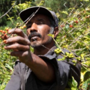 Exportacion de cafe de colombia a Asia Pacífico